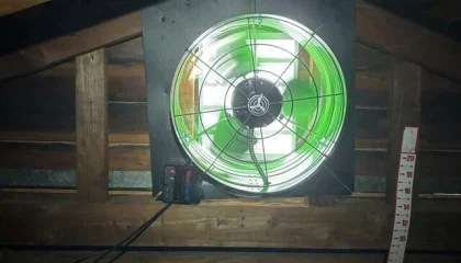 Ceiling fan with green lighting.